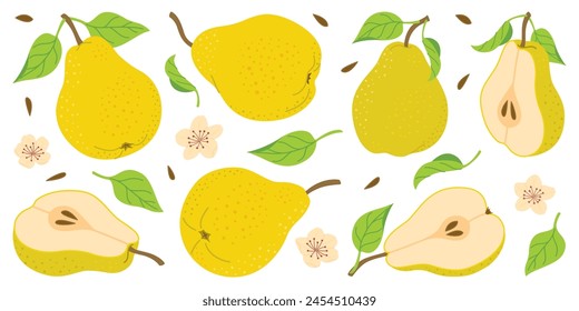 Hand drawn colorful pear set, whole and cut fruit, flowers, leaves. Trendy flat style isolated on white for textiles, labels, posters, web. Ripe juicy pears. Vegetarian organic food. Vector