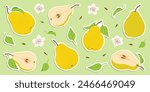Hand drawn colorful pear stickers set, whole and cut fruit, flowers, leaves. Trendy flat style stickers for labels, posters, web. Ripe juicy pears. Vegetarian organic food. Vector illustration