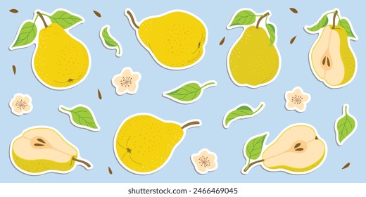 Hand drawn colorful pear stickers set, whole and cut fruit, flowers, leaves. Trendy flat style stickers for labels, posters, web. Ripe juicy pears. Vegetarian organic food. Vector illustration