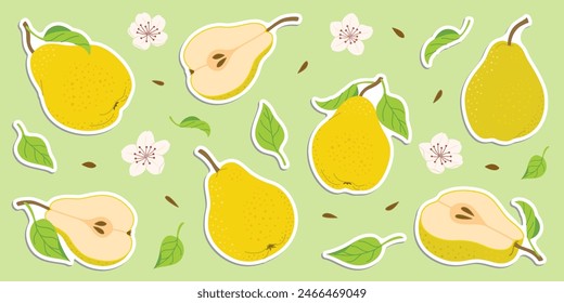 Hand drawn colorful pear stickers set, whole and cut fruit, flowers, leaves. Trendy flat style stickers for labels, posters, web. Ripe juicy pears. Vegetarian organic food. Vector illustration