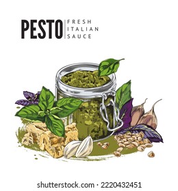 Hand drawn colorful pesto into glass jar sketch style, vector illustration isolated on white background. Fresh Italian sauce, purple and green basil leaves, garlic cloves