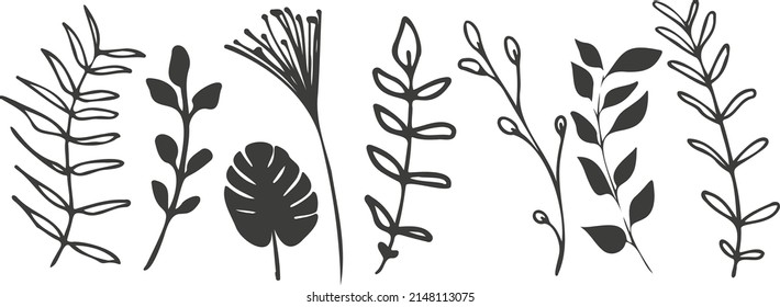 Hand drawn colorful plant set modern and universally usable. Flower branch and minimalistic plants. Hand drawn lines, elegant leaves for your own design. Botanical, chic and trendy plants. 