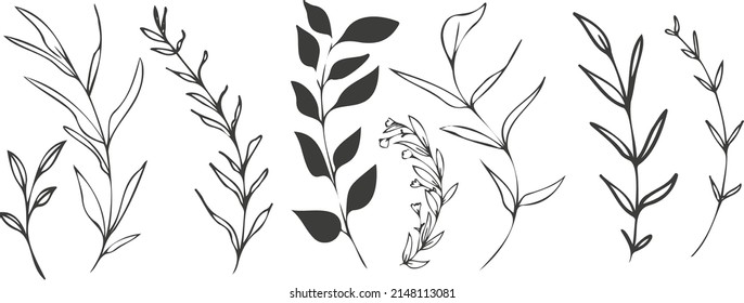 Hand drawn colorful plant set modern and universally usable. Flower branch and minimalistic plants. Hand drawn lines, elegant leaves for your own design. Botanical, chic and trendy plants. 