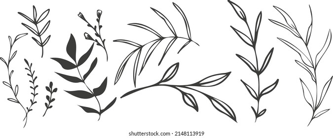 Hand drawn colorful plant set modern and universally usable. Flower branch and minimalistic plants. Hand drawn lines, elegant leaves for your own design. Botanical, chic and trendy plants. 