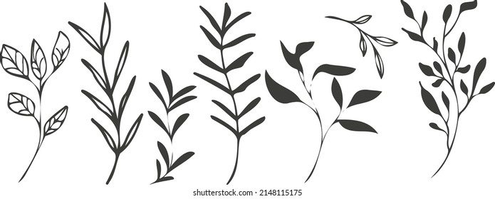 Hand drawn colorful plant set modern and universally usable. Flower branch and minimalistic plants. Hand drawn lines, elegant leaves for your own design. Botanical, chic and trendy plants. 