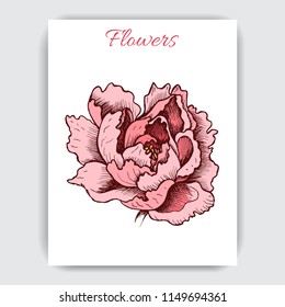 Hand drawn colorful postcard with peonies.