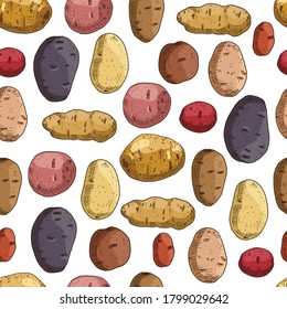 Hand drawn colorful potato. Vector illustration in retro style isolated on white background. Vector seamless pattern.