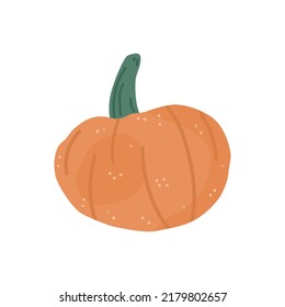 Hand drawn colorful pumpkin flat style, vector illustration isolated on white background. Fresh organic vegetable, decoration for holiday and party, design element
