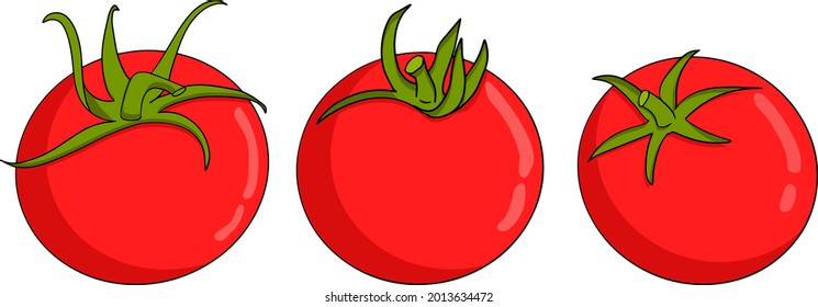 Hand drawn colorful red tomato. Set sketches with tomato. Vector illustration isolated on white background. Realism vegetable.