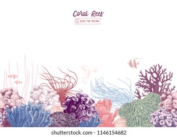 Hand drawn colorful seamless coral border  Vector illustration