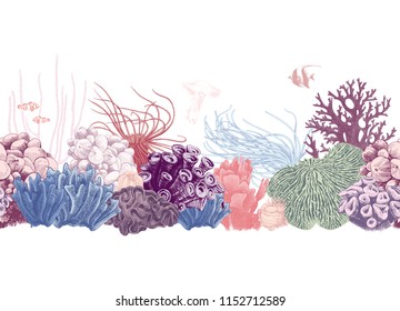 Hand Drawn Colorful Seamless Coral Reef Border. Vector Illustration