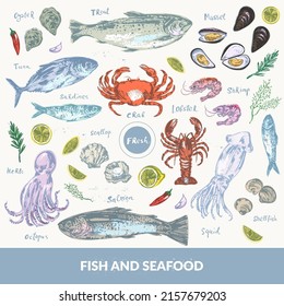 Hand drawn colorful sketch of seafood and fish. Octopus, squid, lobster, crab, oyster, prawn, shrimp, mussel, shellfish, scallop. Illustration set for food background, menu design.