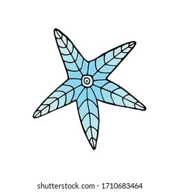 Hand drawn colorful starfish on a white isolated background. Doodle, simple outline illustration. It can be used for decoration of textile, paper and other surfaces.