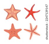 Hand drawn colorful starfish set