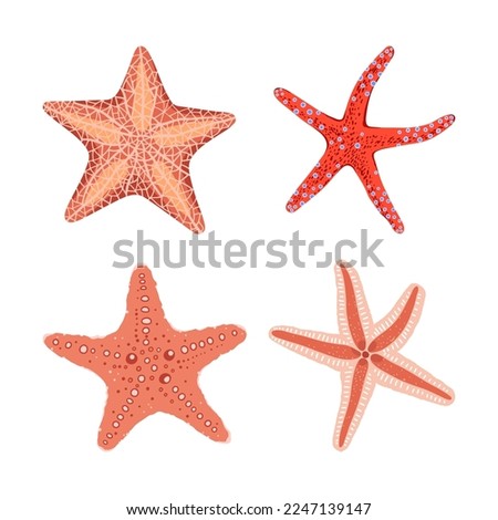 Hand drawn colorful starfish set