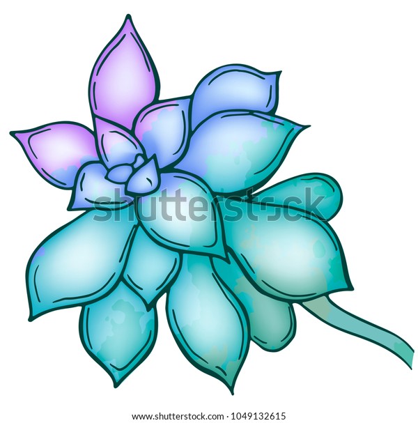Hand Drawn Colorful Succulent Isolated On Royalty Free Stock Image
