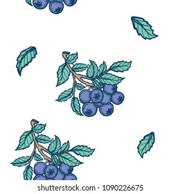Hand drawn colorful vector background summer illustration branch of blueberries with green leaves. Seamless pattern on a white background.