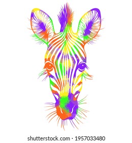 Retrato vectorial colorido dibujado a mano de cebra aislada sobre fondo blanco. Ilustración de la fauna salvaje de África.