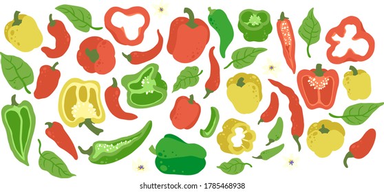 Hand drawn colorful vegetable set. Peppers, paprika and chili.