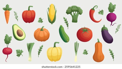 Hand drawn colorful vegetables and salad. Healthy eating. Healthy organic food. Pepper, carrot, pumpkin, zucchini, leek, tomato, arugula. Vector illustration.