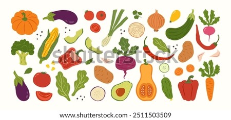 Hand drawn colorful vegetables and salad. Modern abstract minimal style. Healthy organic food. Tomatoes, onion, zucchini, eggplant, leek, potatoes, corn, peppers, beet. Vector flat illustration.