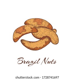 Hand Drawn Colorful Vintage Brazil Nuts Heap Placed on White Backdrop. Four Colored Brazil Nuts Isolated on White. Vector Illustration EPS 10.