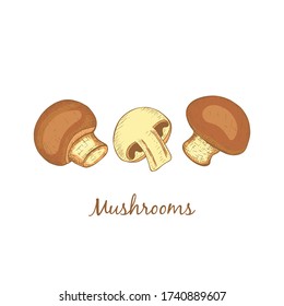 Hand Drawn Colorful Vintage Mushrooms Placed on White Backdrop. Whole and Halved Mushrooms Isolated on White. Vector Illustration EPS 10.