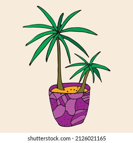 
Hand drawn  colorfull palm tree in a pot. Outline icon in doodle style. Vector liner illustration for print, web, mobile and infographics isolated on white background.  