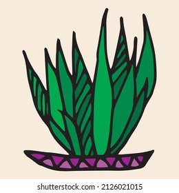 
Hand drawn colorfull succulent outline icon in doodle style. Vector liner illustration for print, web, mobile and infographics isolated on white background.  