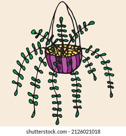 
Hand drawn colorfull  succulent outline icon in doodle style. Vector liner illustration for print, web, mobile and infographics isolated on white background.  