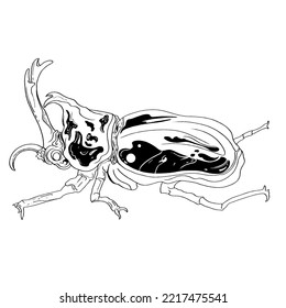 Hand Drawn Coloring Book Insects vector illustrations, drawing, engraving, ink, line art.