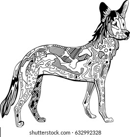 Hand drawn coloring book page with wild Dingo dog in doodle style