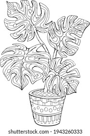 Hand drawn coloring page for kids and adults. Potted plant Monstera. Beautiful drawing with patterns and small details. Coloring book  pictures. Vector