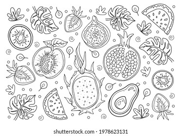 Hand drawn coloring page for kids and adults. Summer tropical fruits. Beautiful drawing with patterns and small details. Coloring book pictures. Vector