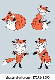Hand drawn colour set of foxes, vector illustration