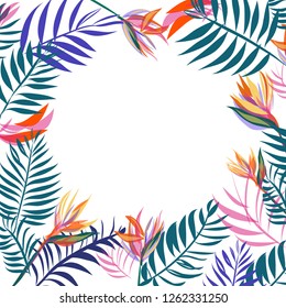 hand drawn colourful Tropical leaf  and strelitzia reginae vector template