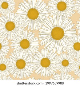 Hand drawn common Daisy flower Bellis Perennis vector illustration seamless pattern