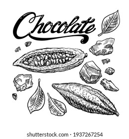 Hand drawn composition of ingredients for making delicious chocolate. Cover for the cafe menu. Leaves, fruits, beans, pieces of cocoa tree isolated on white background