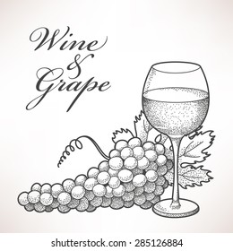 Hand drawn composition of wine and grape