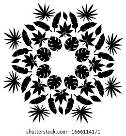 Hand drawn concept in circle with exotic tropical leaves. Black shadows isolated on white background. Cute template for card, banner, sticker, logo design. Vector illustration with space for text.