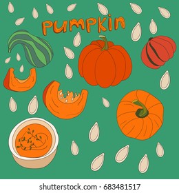 Hand Drawn conceptual illustration of different pumpkins.