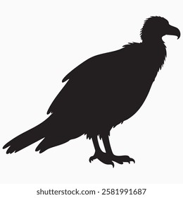 Hand drawn condor bird silhouette