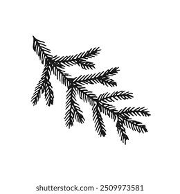 Hand drawn coniferous branch. Vector illustration of pine and spruce branches