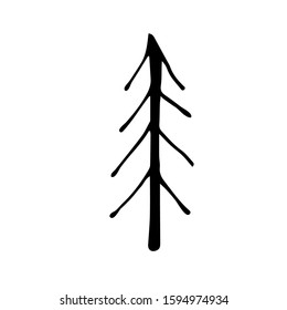 Hand drawn coniferous tree vector