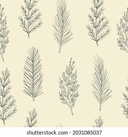 Hand drawn conifers seamless pattern. 