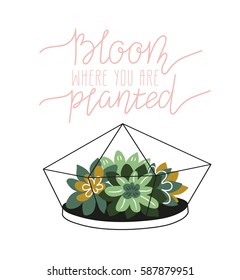 Hand drawn  contained succulents. Scandinavian style illustration, home decor. Vector print design with terrarium and lettering - 'bloom where you are planted'.