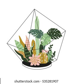 Hand drawn  contained tropical house plants. Scandinavian style illustration, modern and elegant home decor. Vector print design with terrarium with tropical plants.