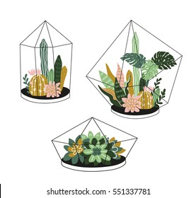 Hand drawn contained tropical house plants. Scandinavian style illustration, modern and elegant home decor. Vector print design with terrariums with exotic plants.