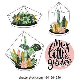 Hand drawn contained tropical house plants. Scandinavian style illustration, modern and elegant home decor. Vector print design with terrariums and stylish lettering - My little garden.