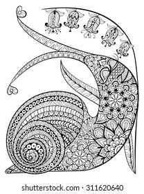 Hand drawn contented Snail and flower for adult anti stress Coloring Page with high details isolated on white background, illustration in zentangle style. Vector monochrome sketch. Animal collection.